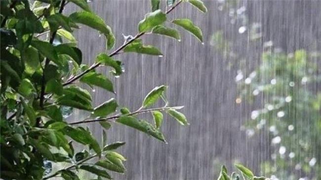 بارش باران و کاهش دما در استان‌های شمالی طی روز جاری
