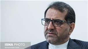 حضور بیش از ۱۵ هزار ایرانی در عمان/ نهایی شدن اسناد کنسولی بین تهران و مسقط در آینده نزدیک